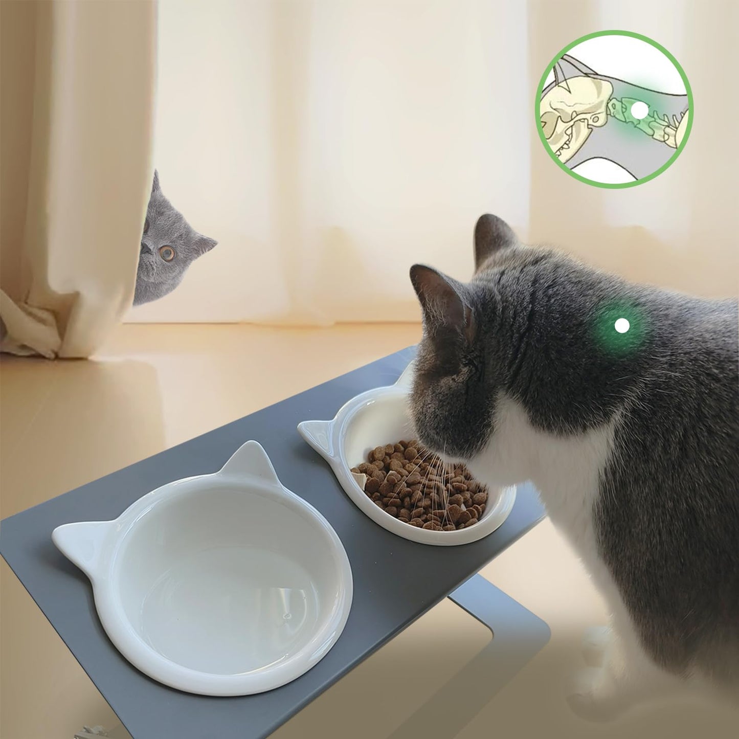 Pandaq Adjustable Cat Feeder,Elevated Cat Ceramic Bowls 15° Tilted Raised Cat Food Bowls with 2 Thickened Ceramic Bowls 300ML & A Sturdy Iron Stand for Cats