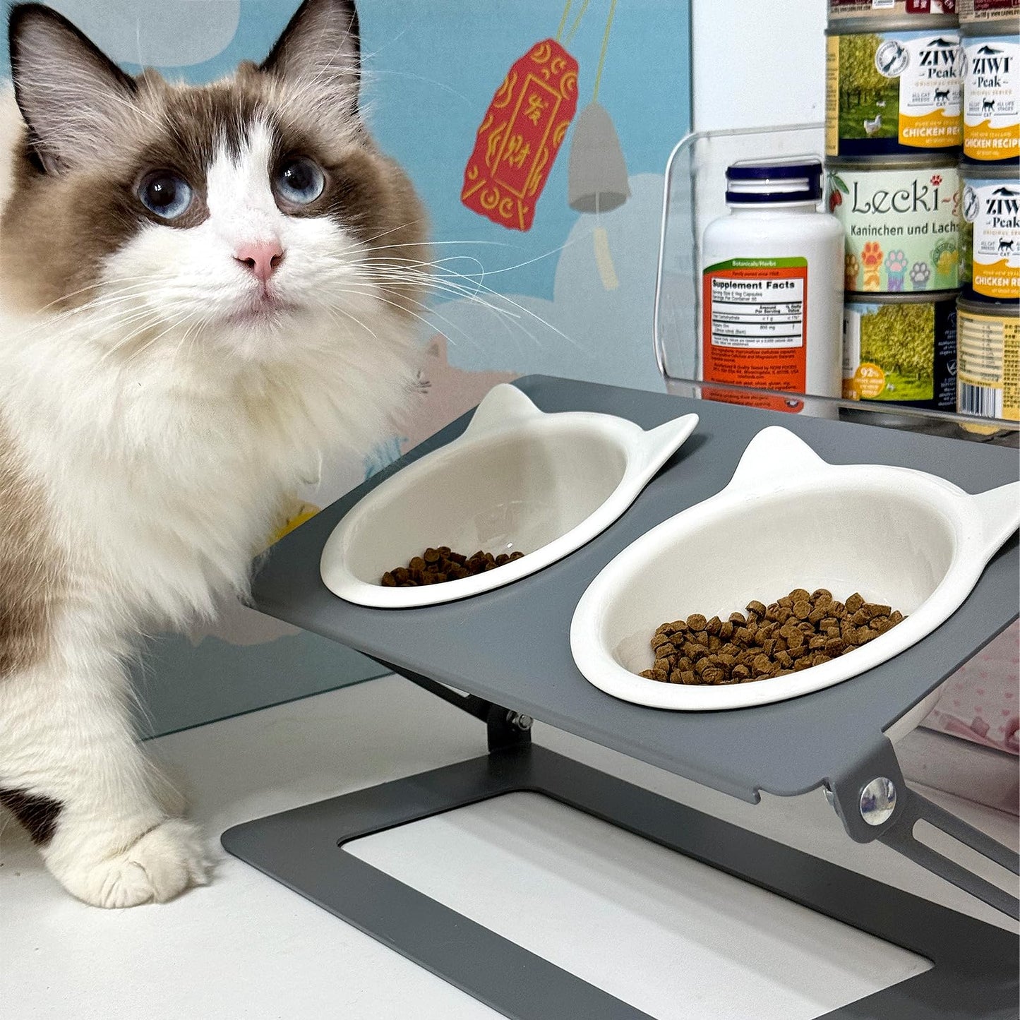 Pandaq Adjustable Cat Feeder,Elevated Cat Ceramic Bowls 15° Tilted Raised Cat Food Bowls with 2 Thickened Ceramic Bowls 300ML & A Sturdy Iron Stand for Cats