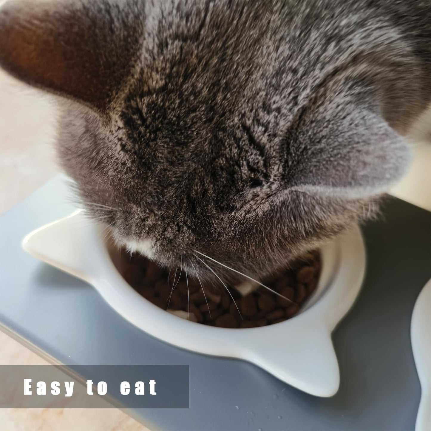 Pandaq Adjustable Cat Feeder,Elevated Cat Ceramic Bowls 15° Tilted Raised Cat Food Bowls with 2 Thickened Ceramic Bowls 300ML & A Sturdy Iron Stand for Cats